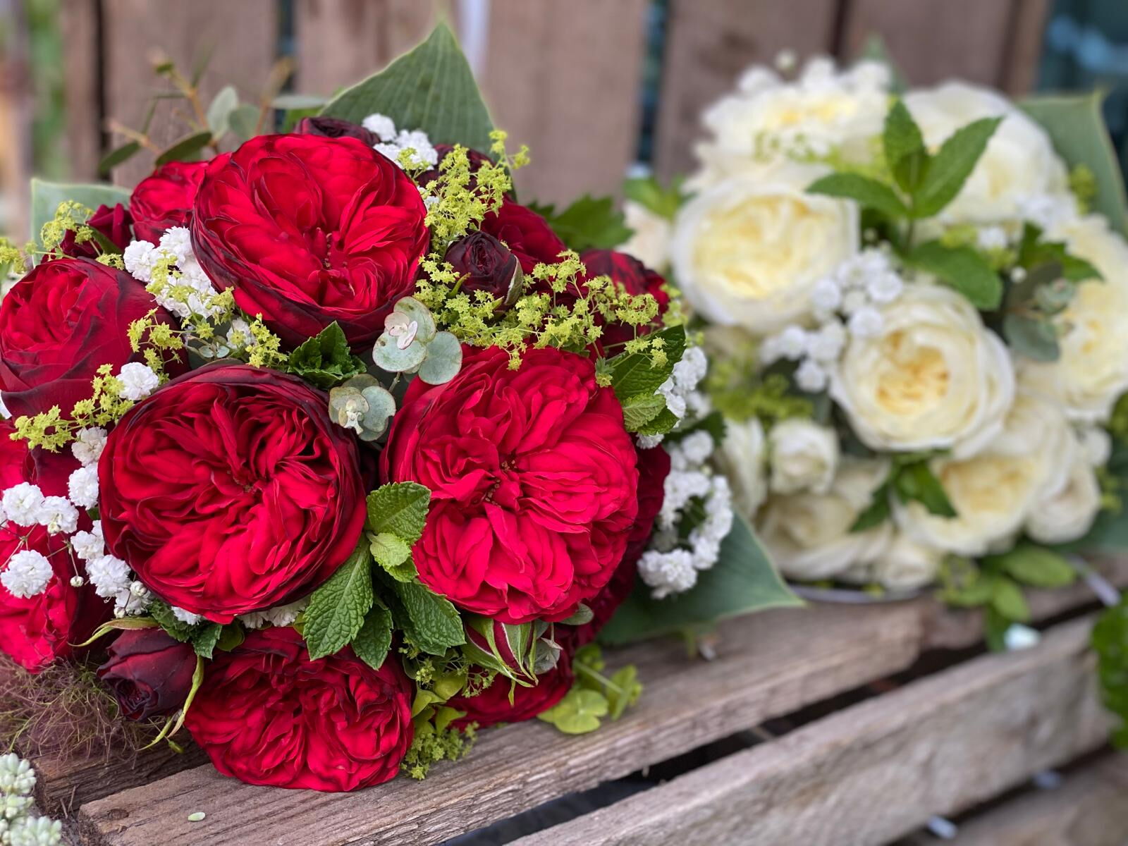 Blumen Sommer Foto Beispiel